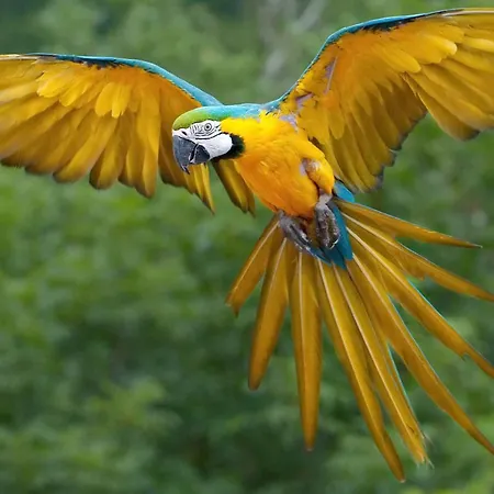 Le Levant Maison Pour 6 Personnes à Proximité Du Golf De Valcros à La Londe Les Maures La Londe-les-Maures