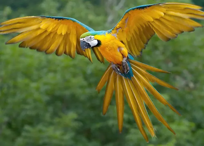 Le Levant Maison Pour 6 Personnes à Proximité Du Golf De Valcros à La Londe Les Maures La Londe-les-Maures